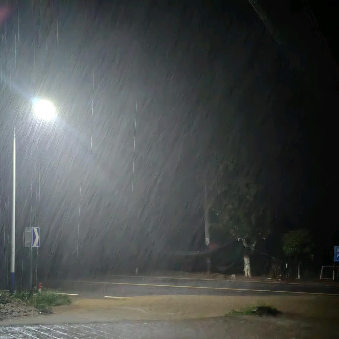 雨林