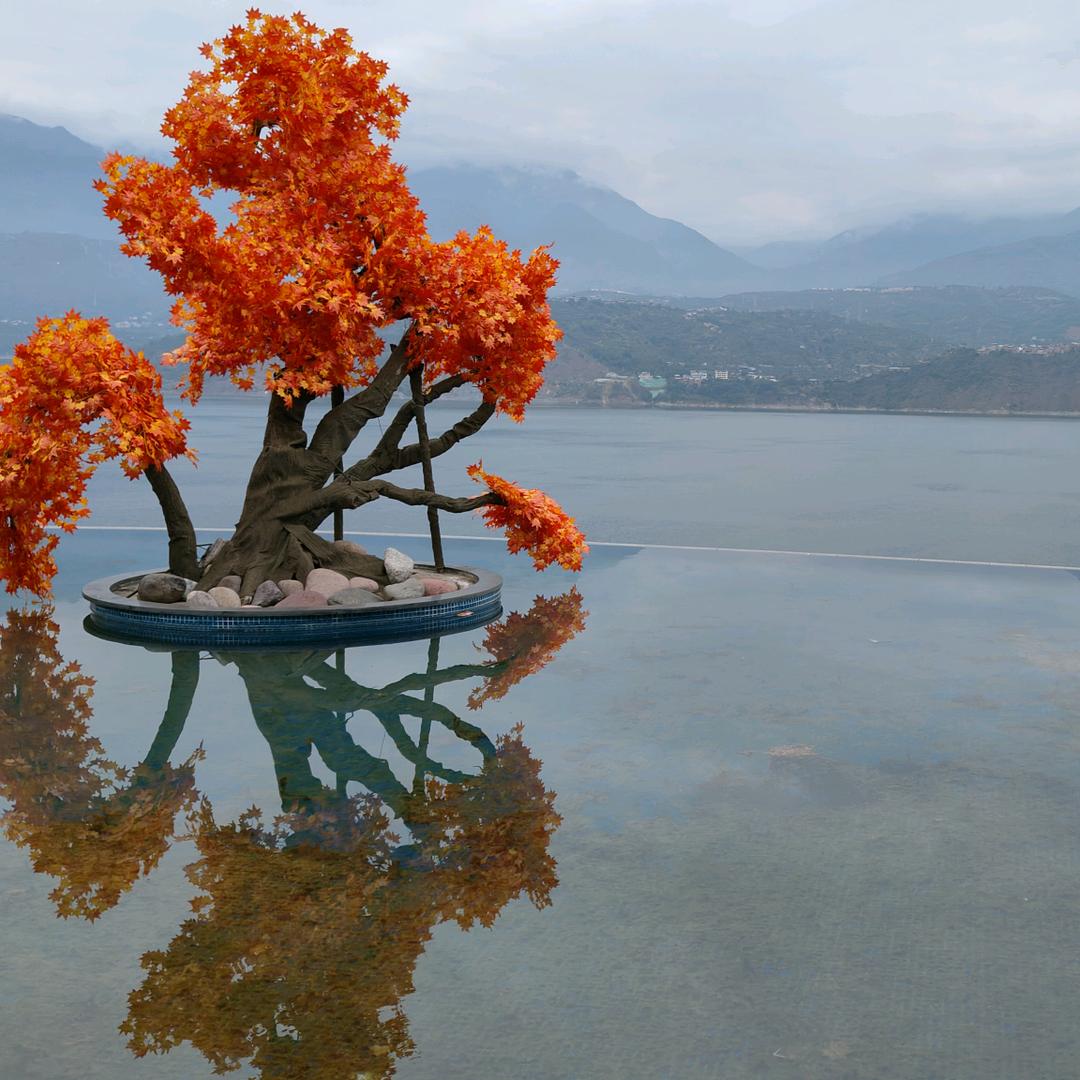 我的宝贝叫晨晨