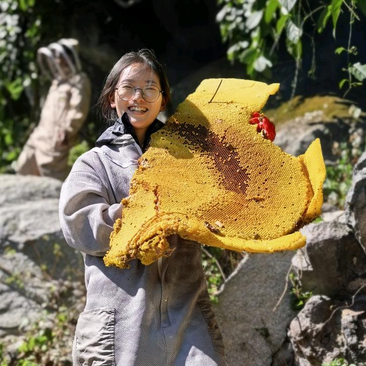 慧姐野生蜂蜜