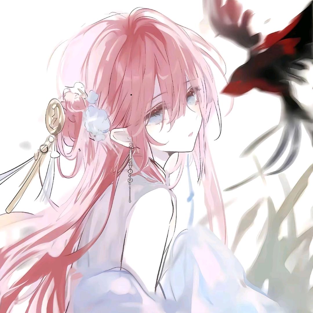 壹壹