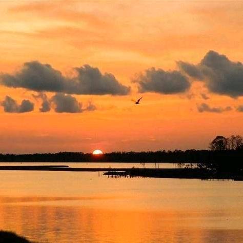 全福品乡还衣锦-老泡泡