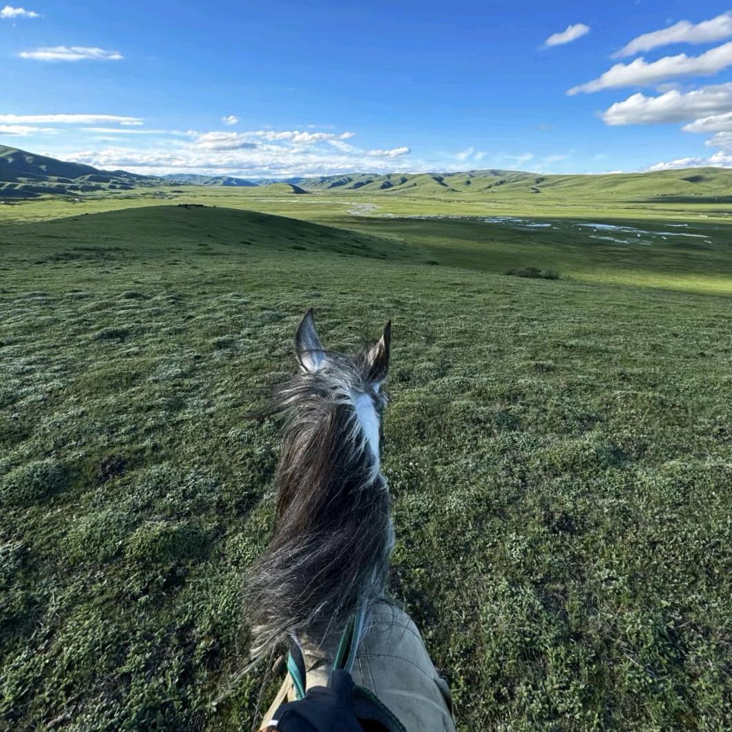 露啊露啊露啊露