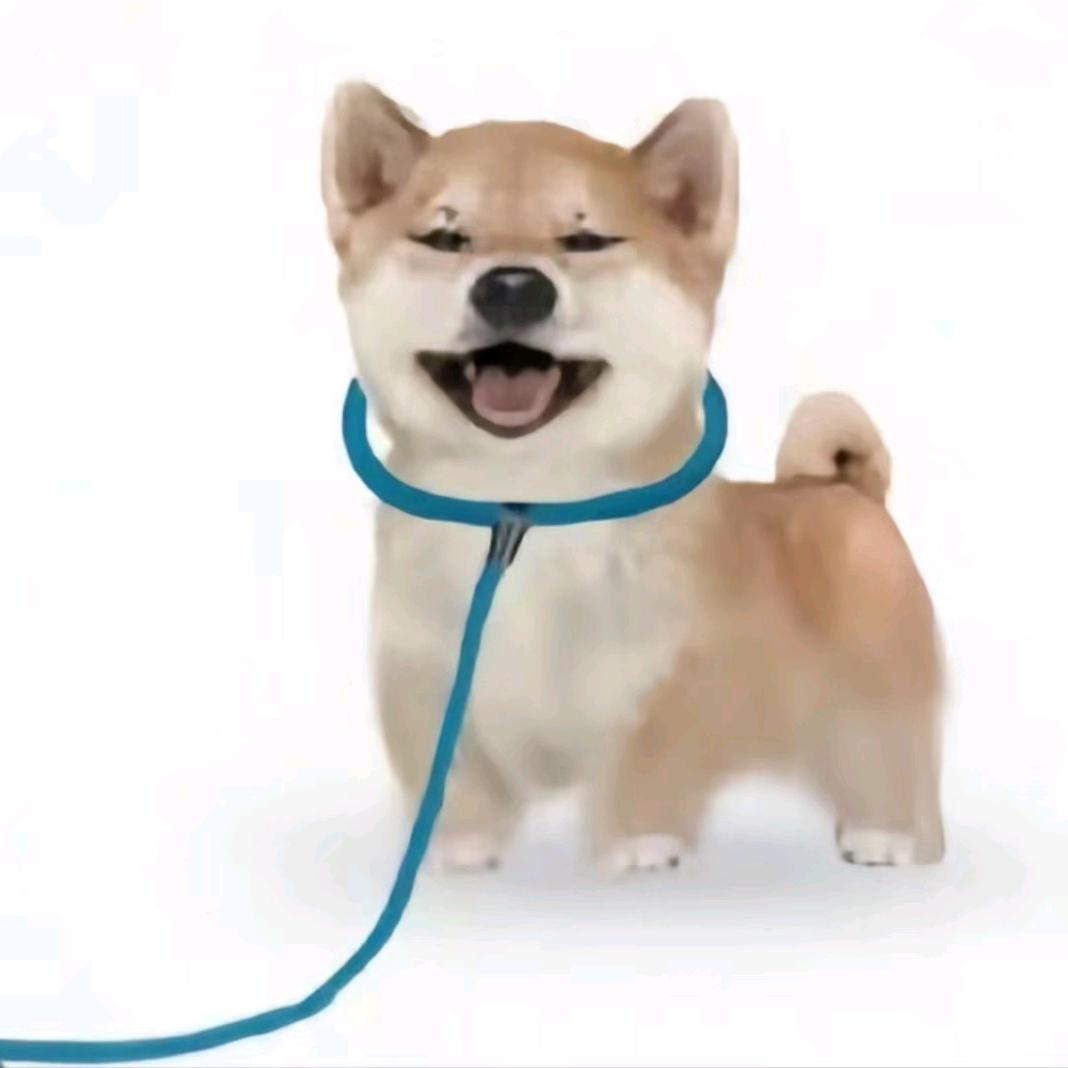 超雄抑郁症凌晨三点屎没憋住被护工暴打