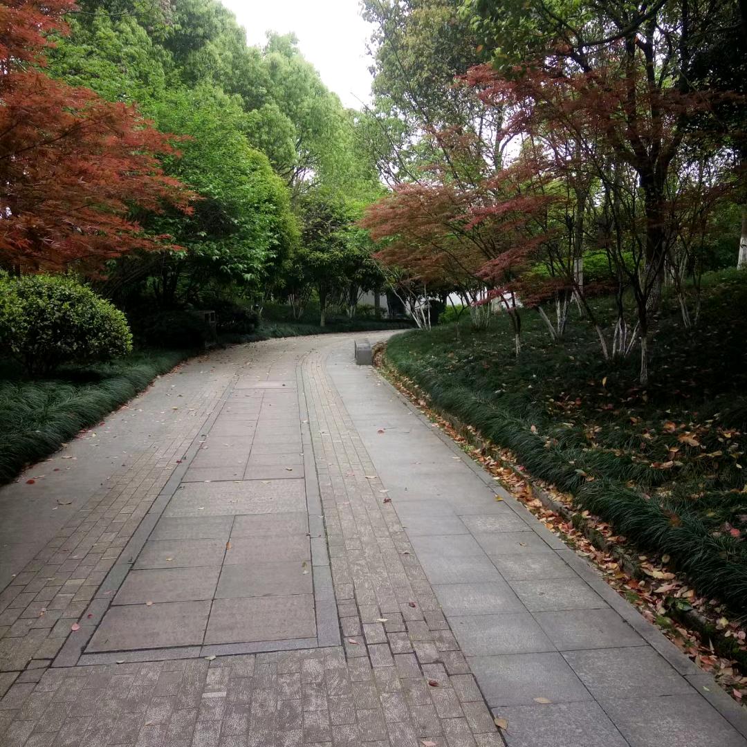 随风.