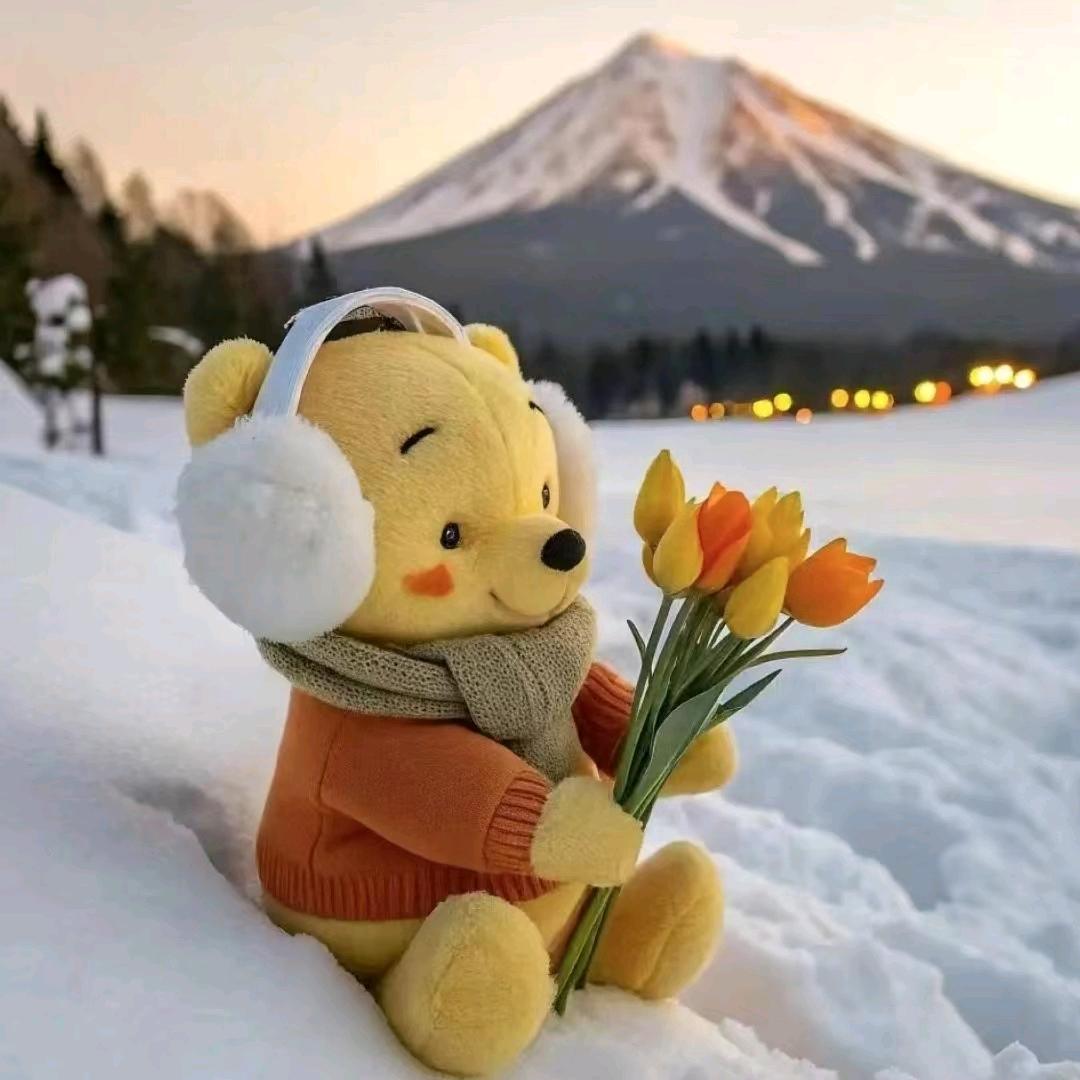 视平