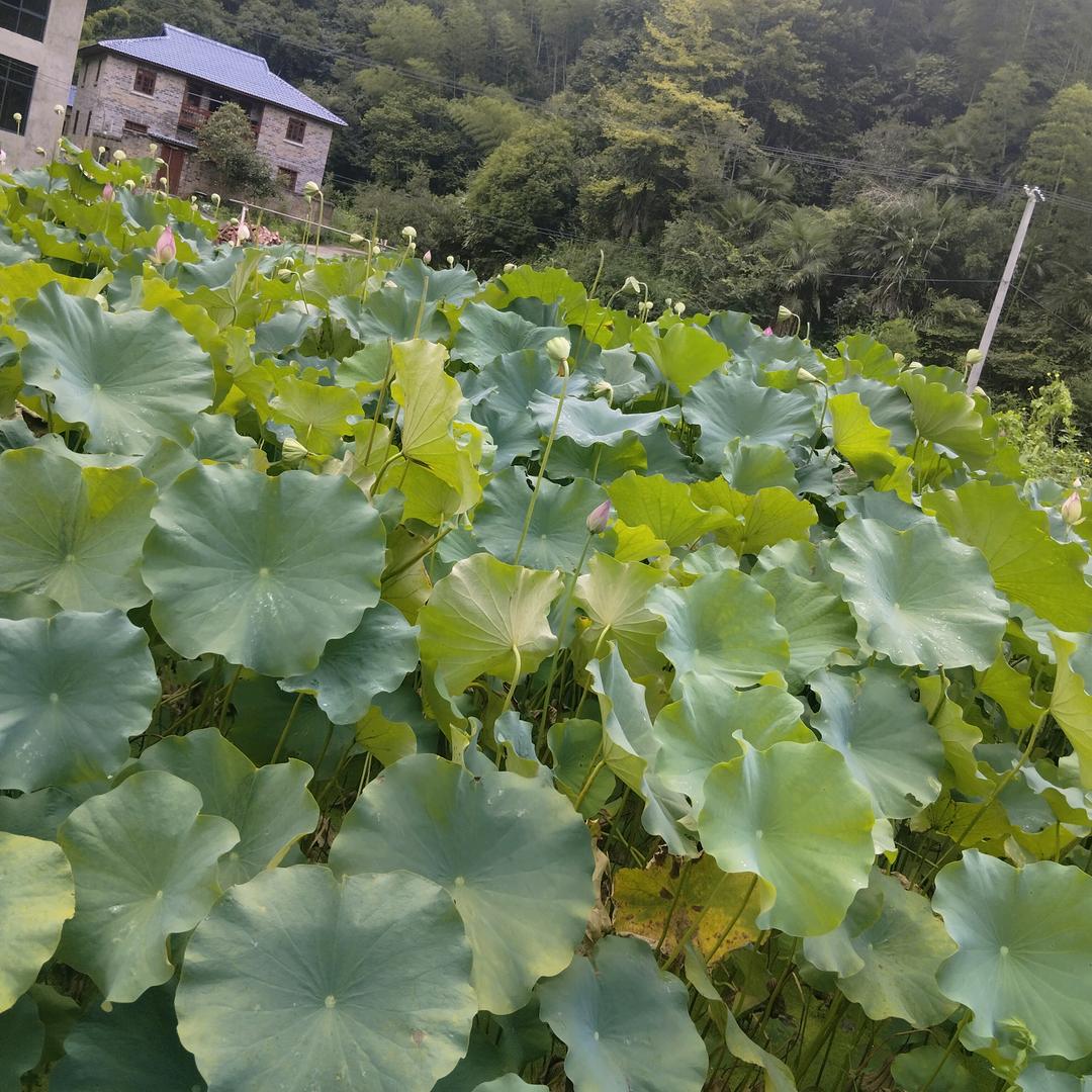 重新来过!!!
