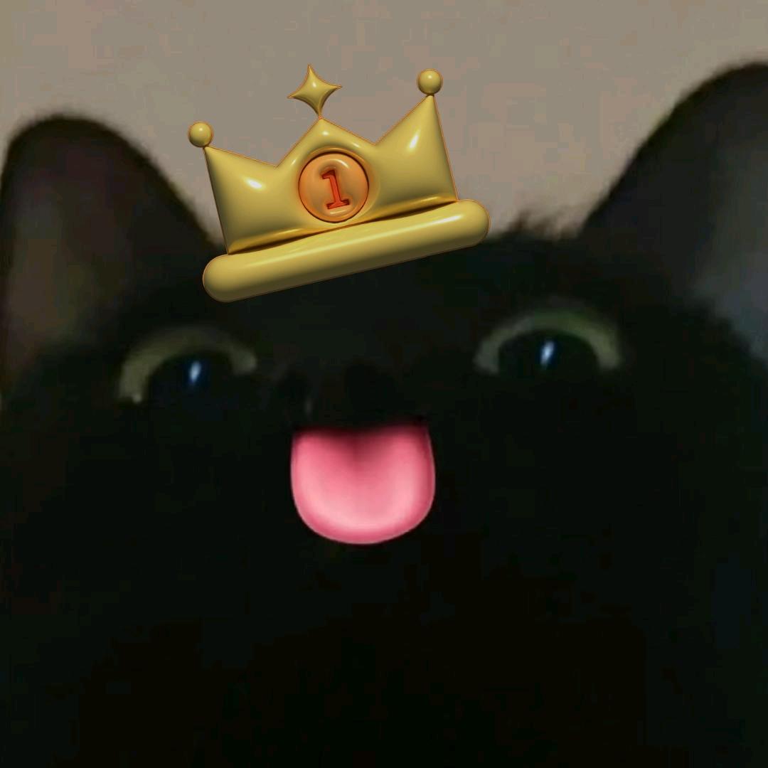 外设猫