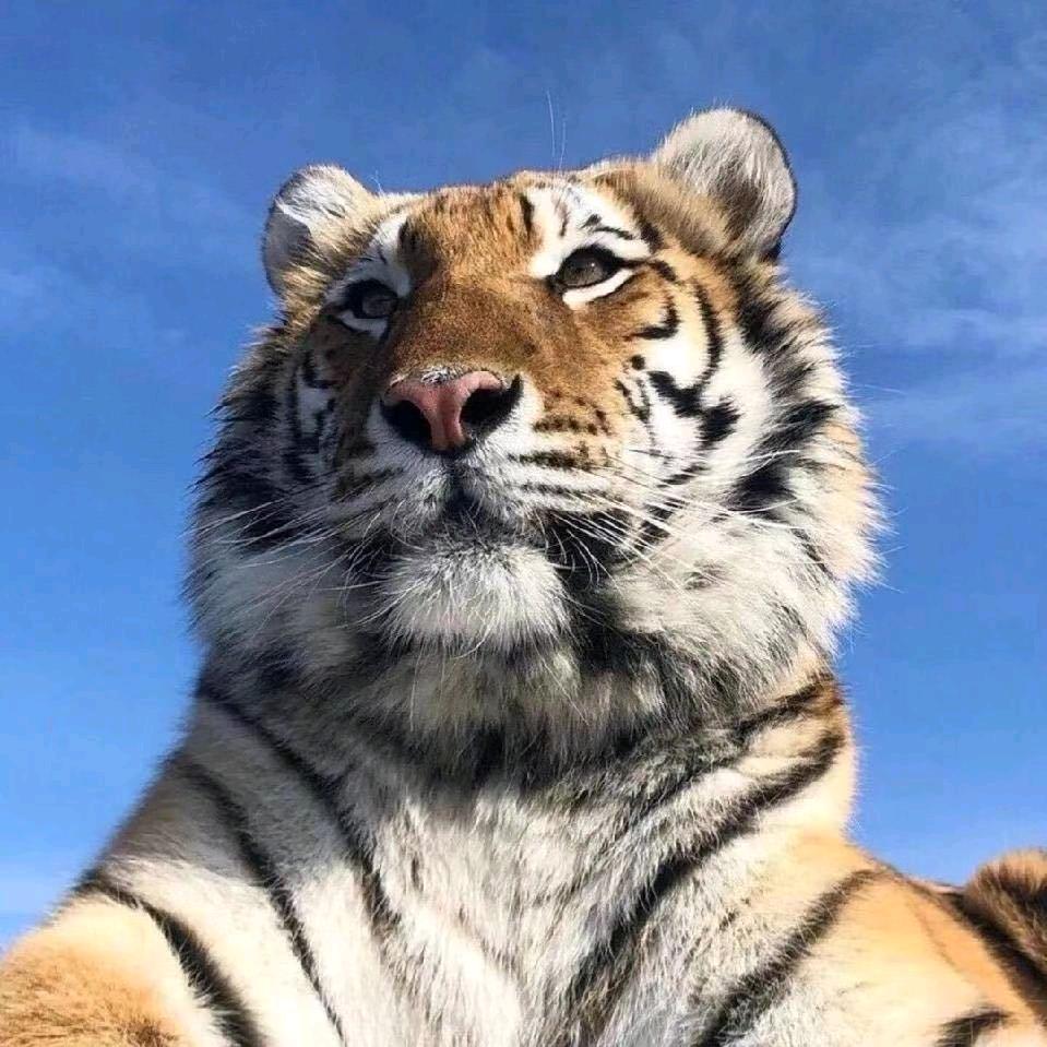 皖川轻质砖隔墙