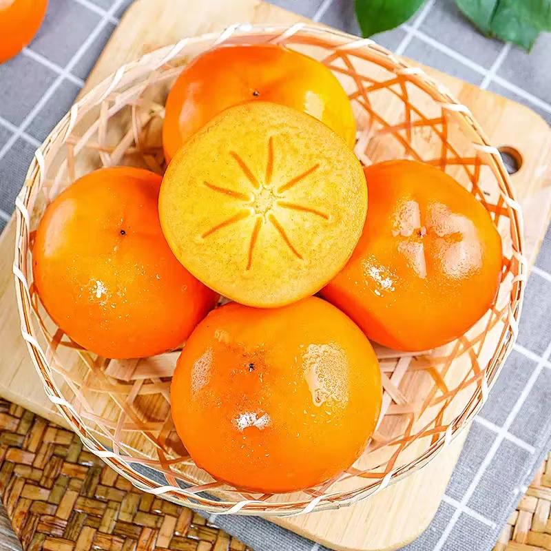 柿柿♥如意＠_＠