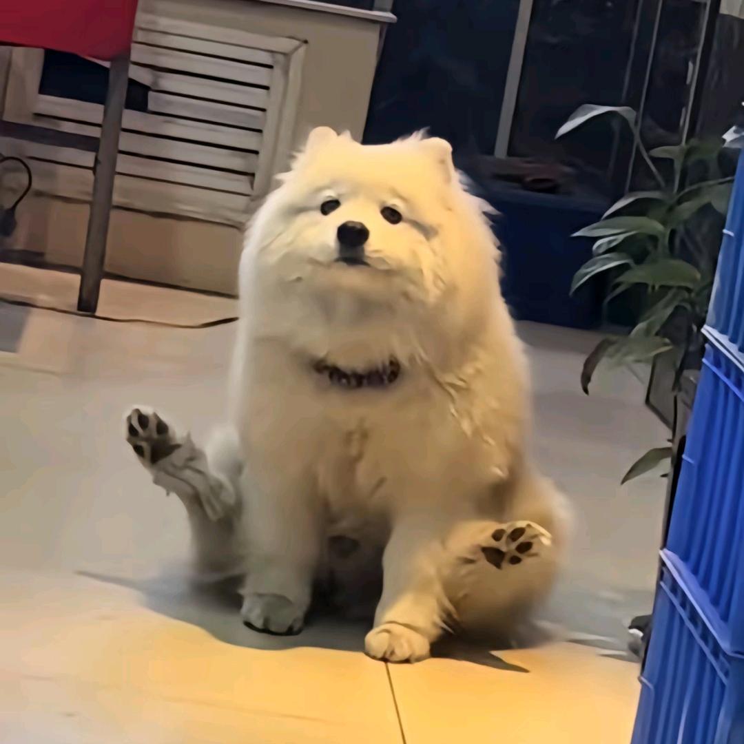 白