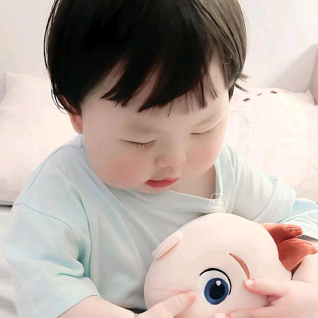 呆呆.