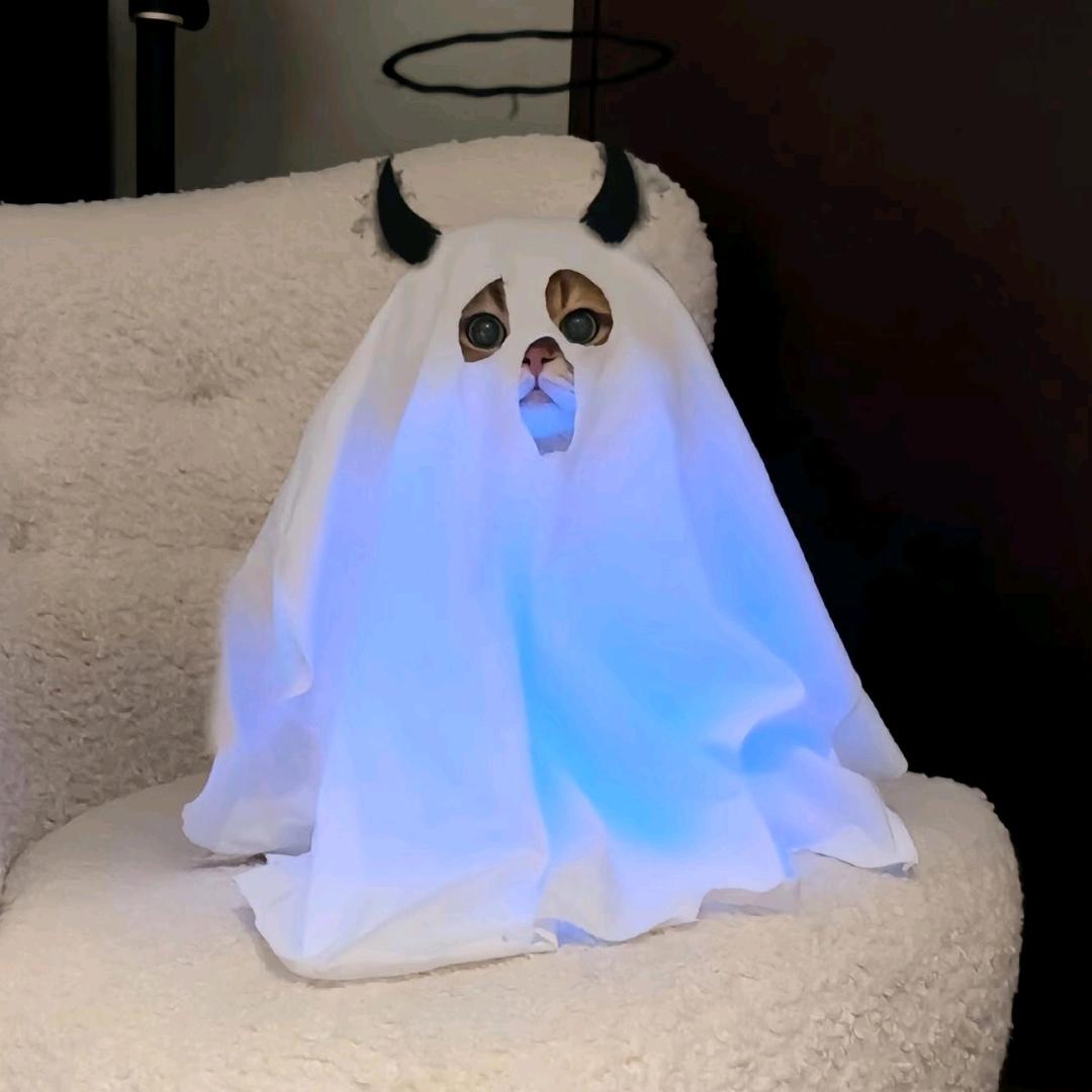ovo