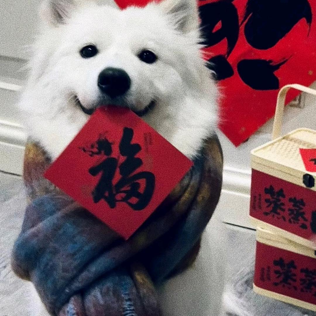 小董同学