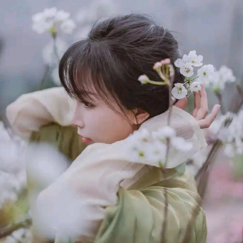 龙葵❤️