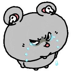 娴宝