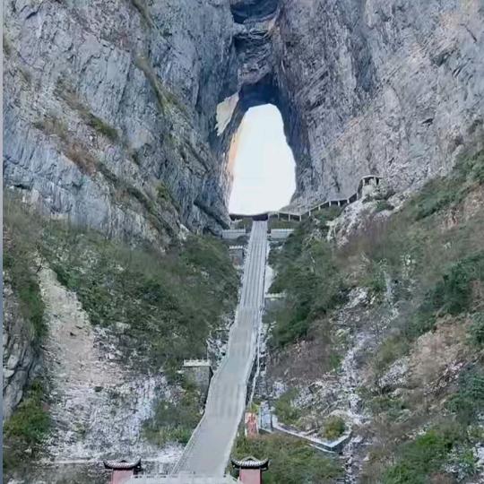 拼未来