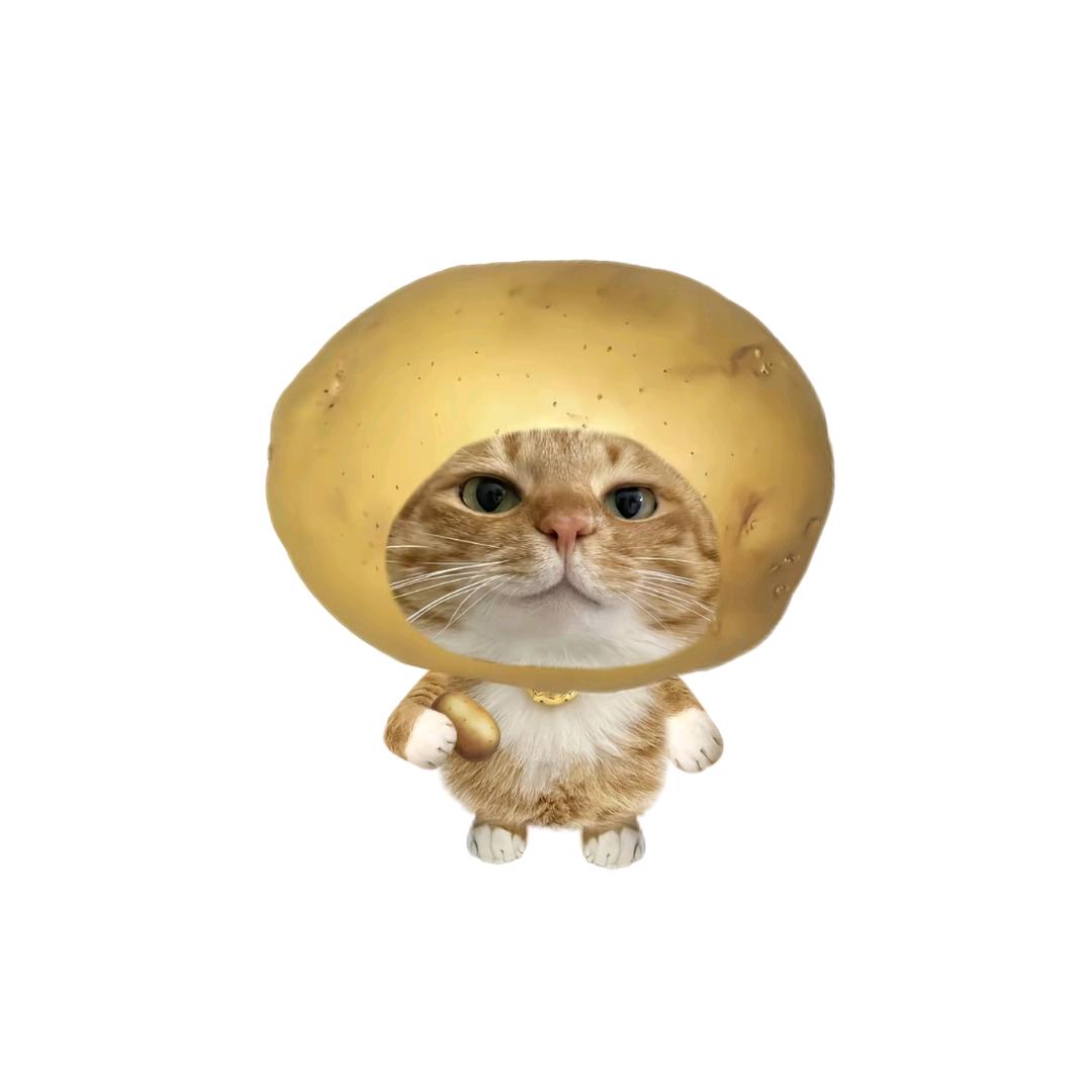 性感土豆🥔