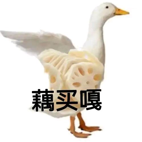 呕*****