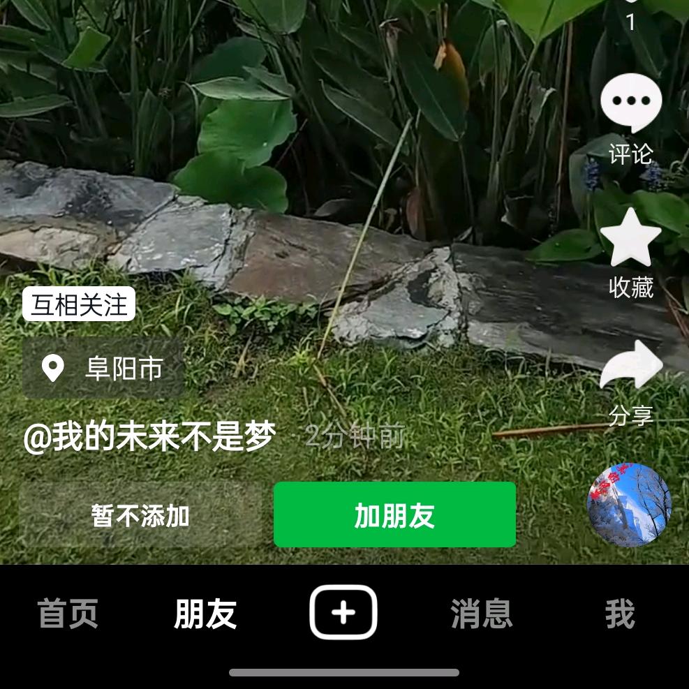 陈峰