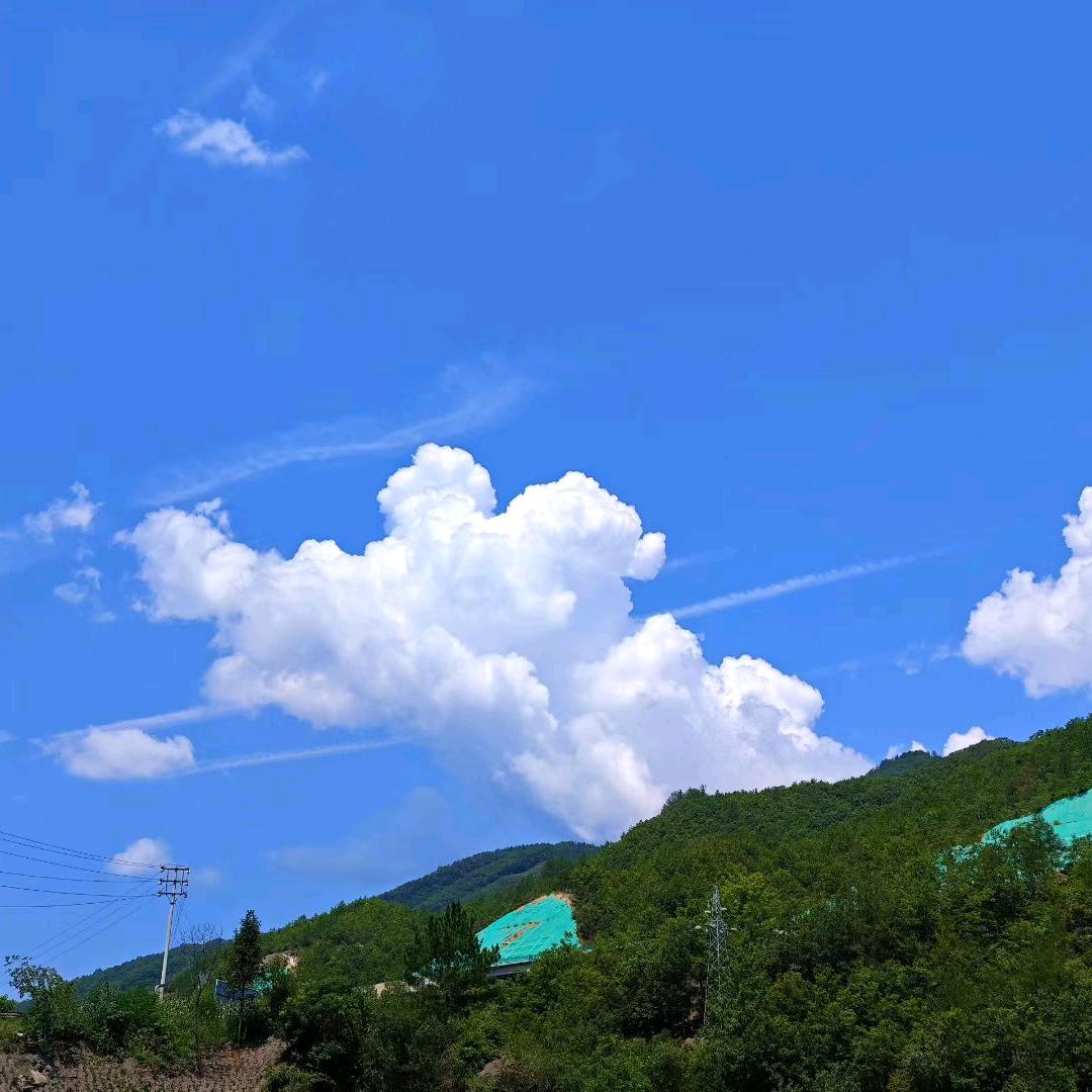 司机老宋