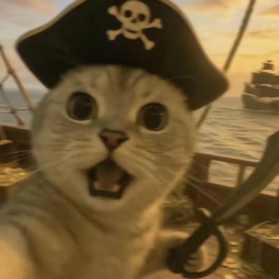 试着喜欢我一下