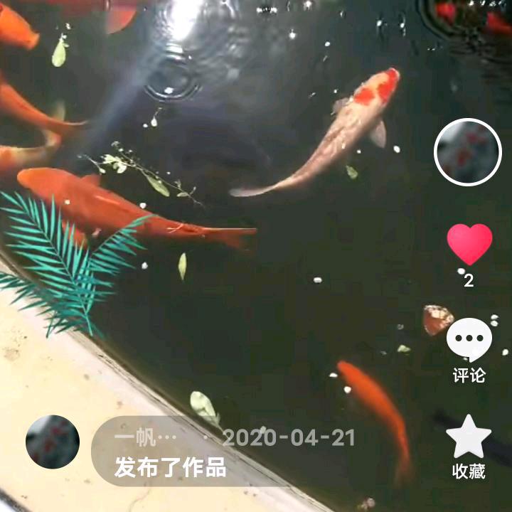 順風順水