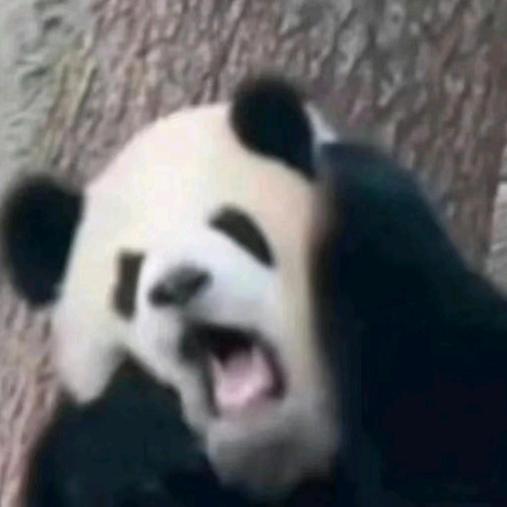 卓宁