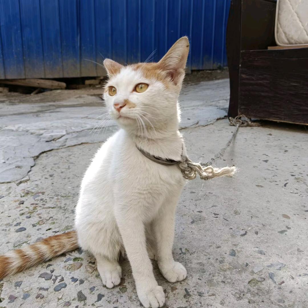 北邙尽头，星垂野畴