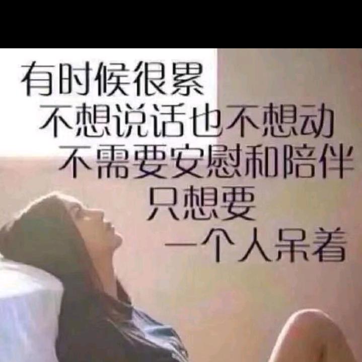 风过忆飘落