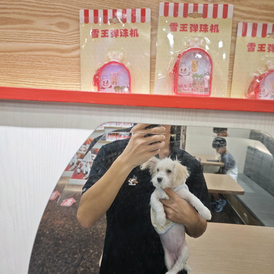 西红柿番茄