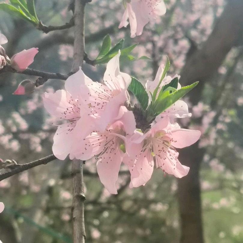 @໑ຼₒ₂5ღ᭄陈