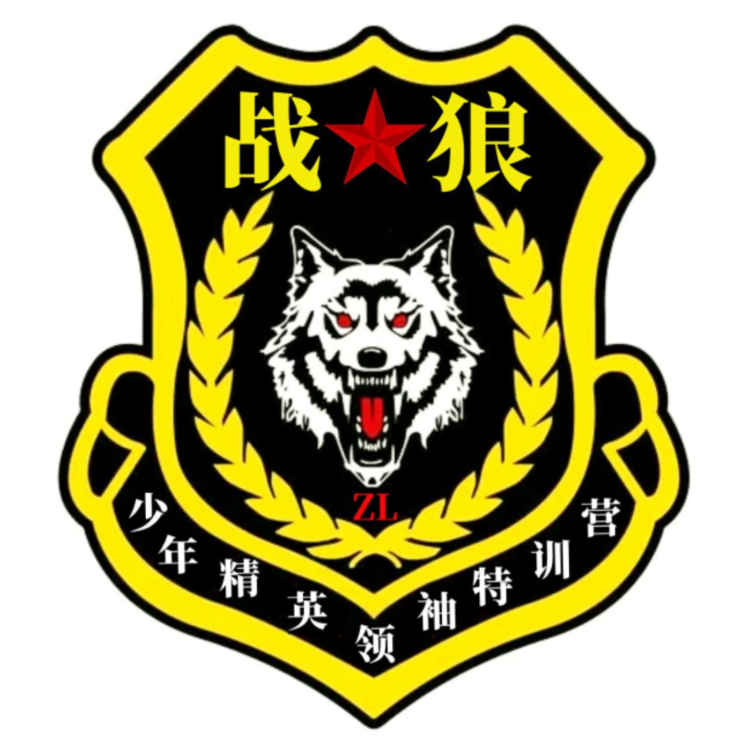 🔥战狼军事夏令营