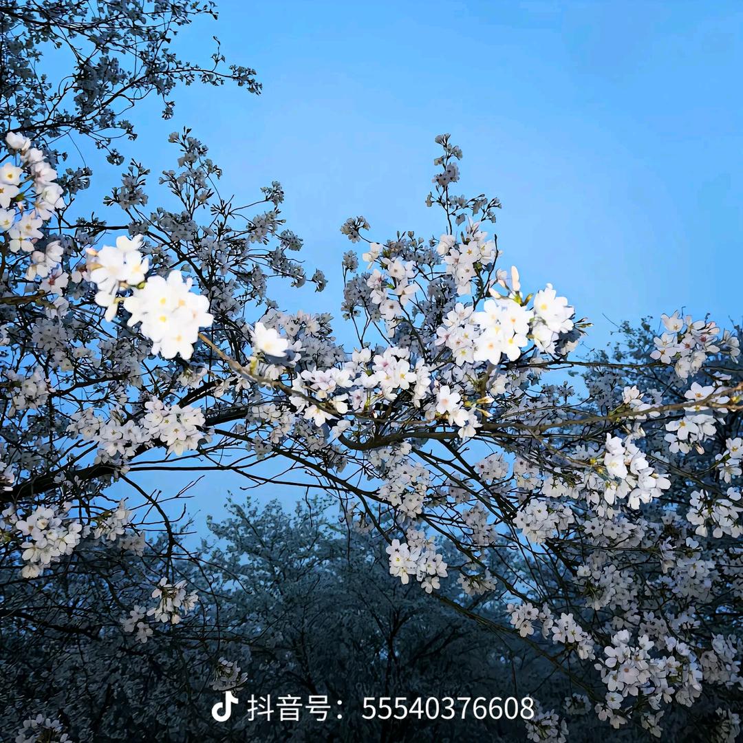 用户34546487