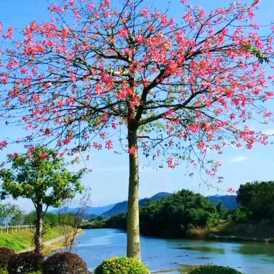 心平气和