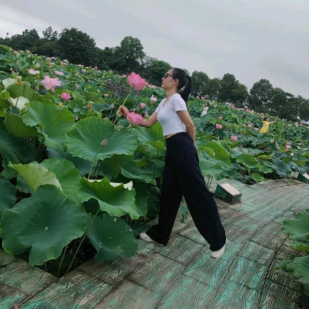 邱兰香