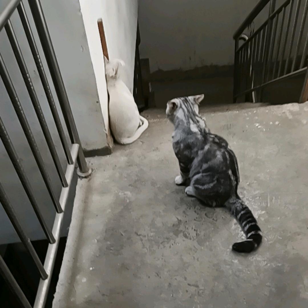 发现你的美