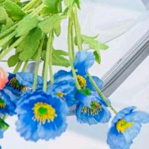 缘来惜缘，缘去随缘