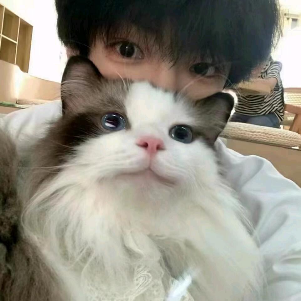 想了解