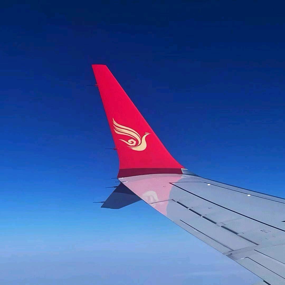 FL310.