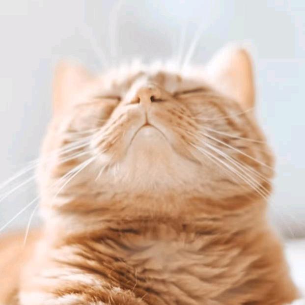 晓晓晓