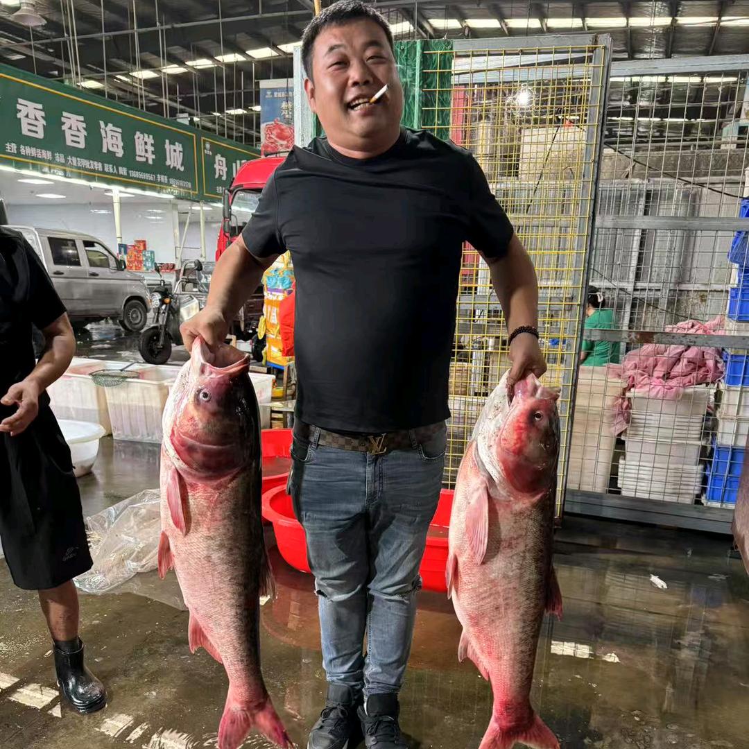 利辛神话桥头砂锅鱼头王