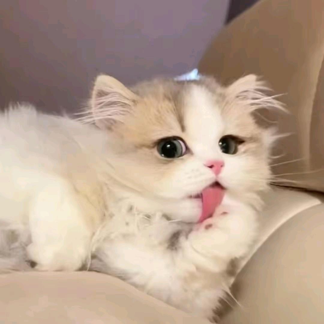 杰森.