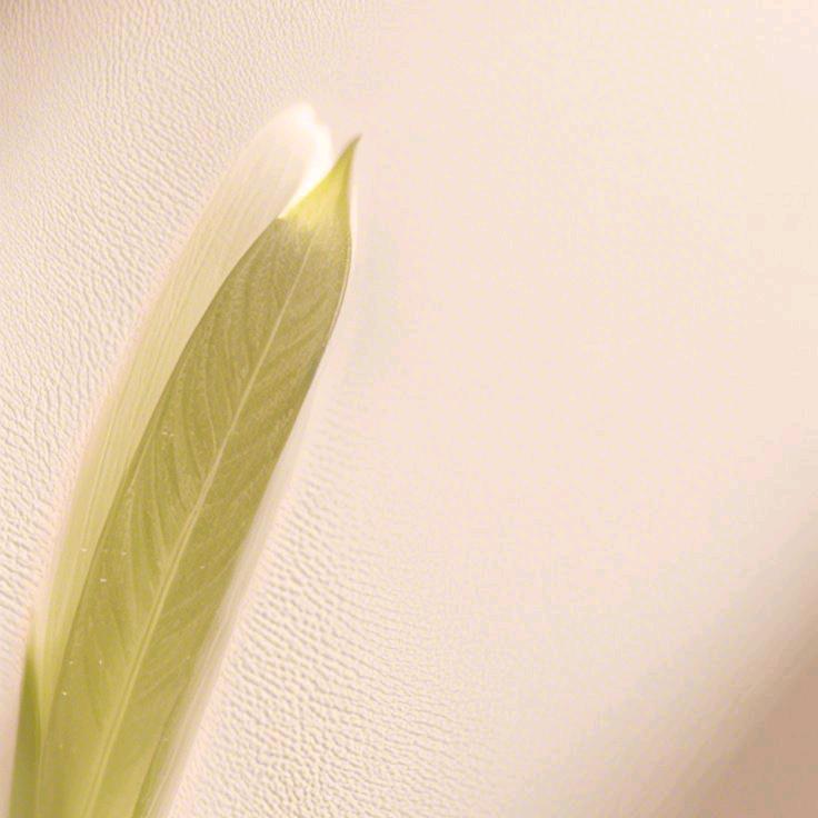 kinzdi数码