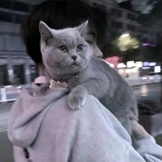 一二