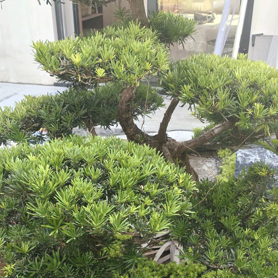 开心做个自己