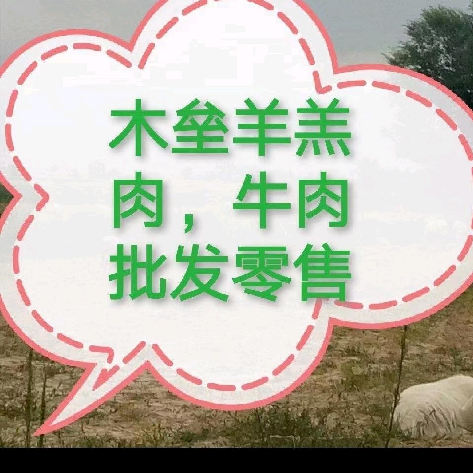 木垒小马牛羊肉店