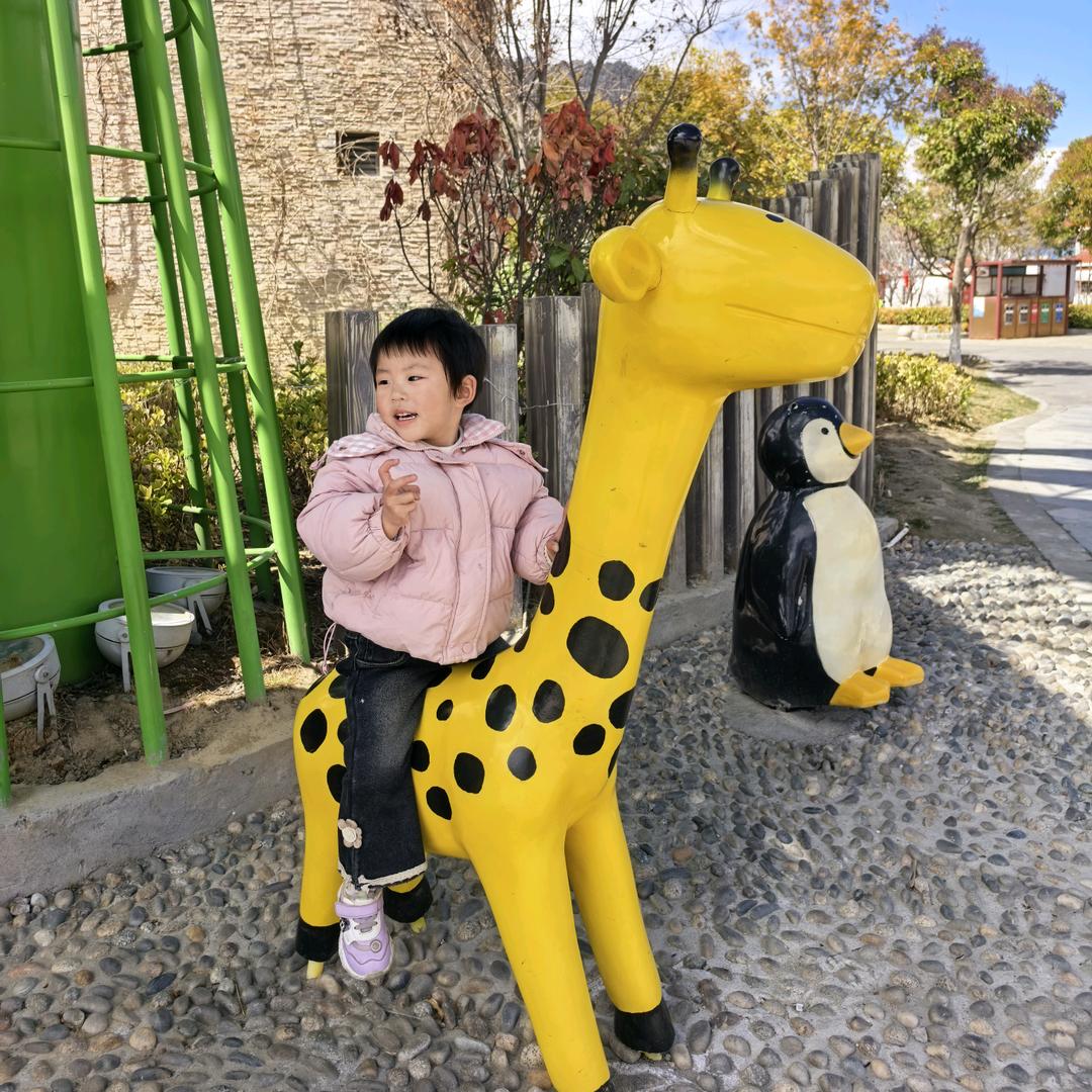 小君君