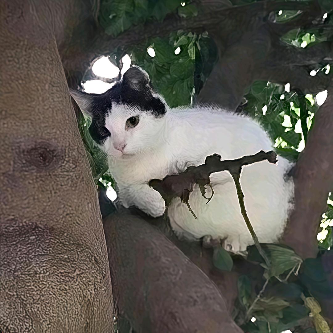 one——by——one