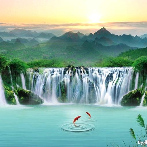 收购车头，板车，资金充足，转钱快！