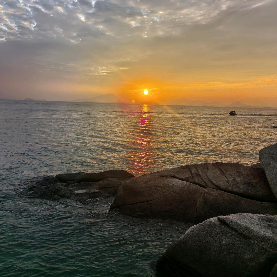 🌹🌹小陈❤❤（1000粉）🌹🌹